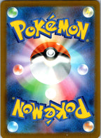 Numel 198/193 holo Art Rare MEGA Dream ex Pokemon Japanese Near Mint