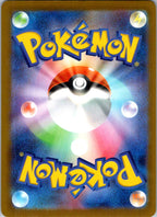 Numel 198/193 holo Art Rare MEGA Dream ex Pokemon Japanese Near Mint