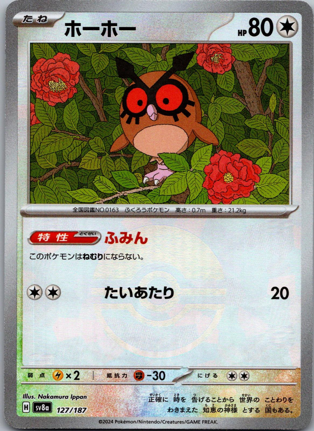 Hoothoot 127/187 (Mirror Foil) Terastal Festival Pokemon Japanese Holo Near Mint