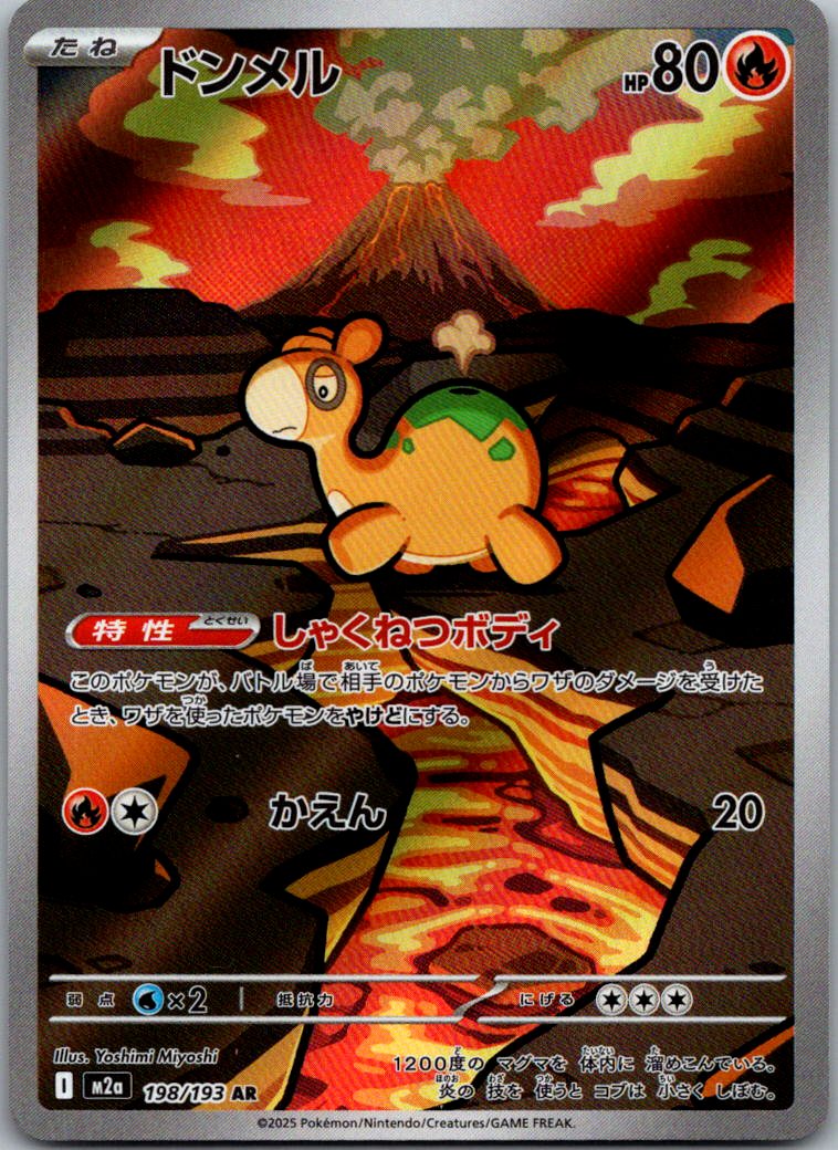 Numel 198/193 holo Art Rare MEGA Dream ex Pokemon Japanese Near Mint