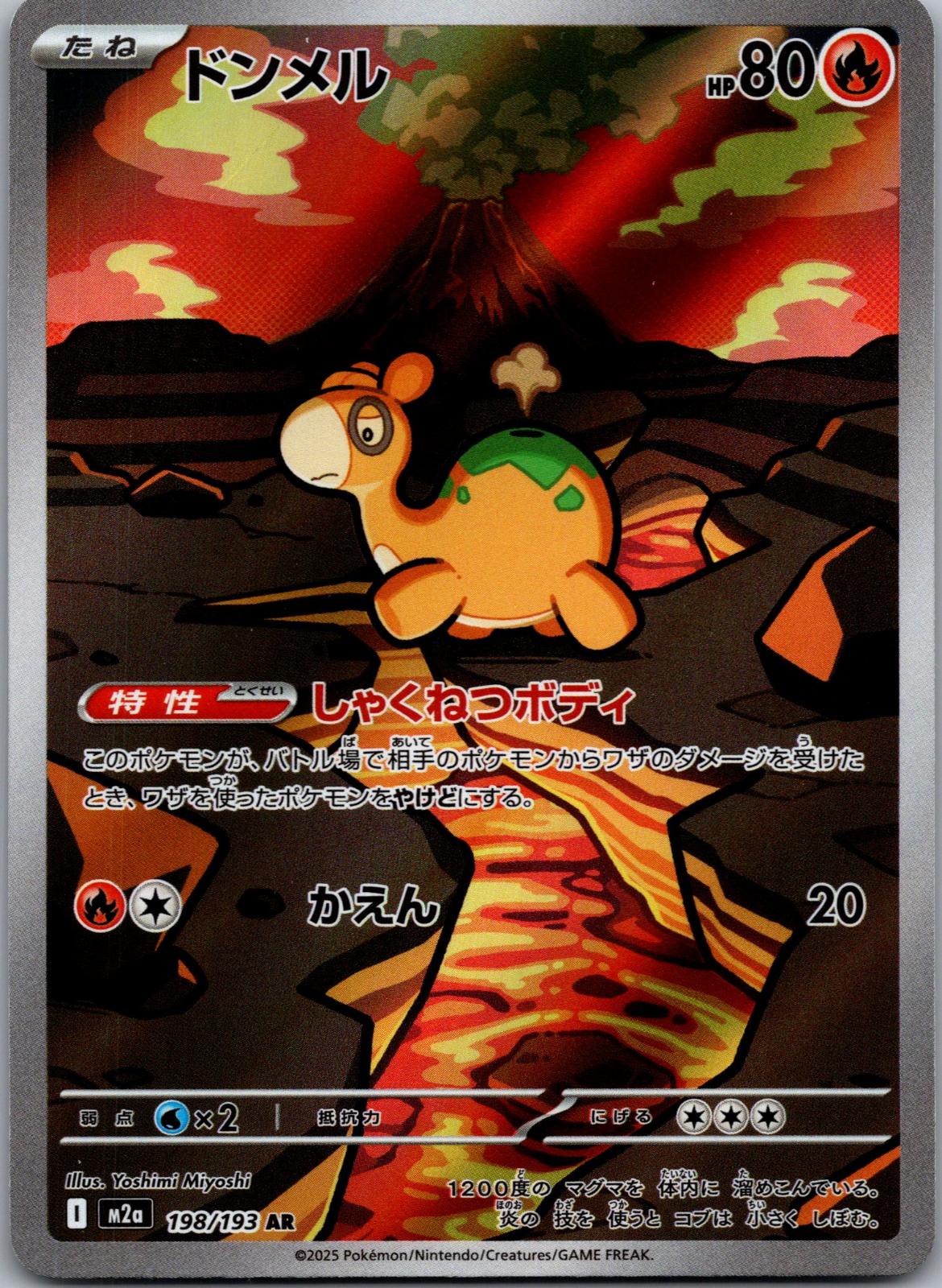 Numel 198/193 holo Art Rare MEGA Dream ex Pokemon Japanese Near Mint