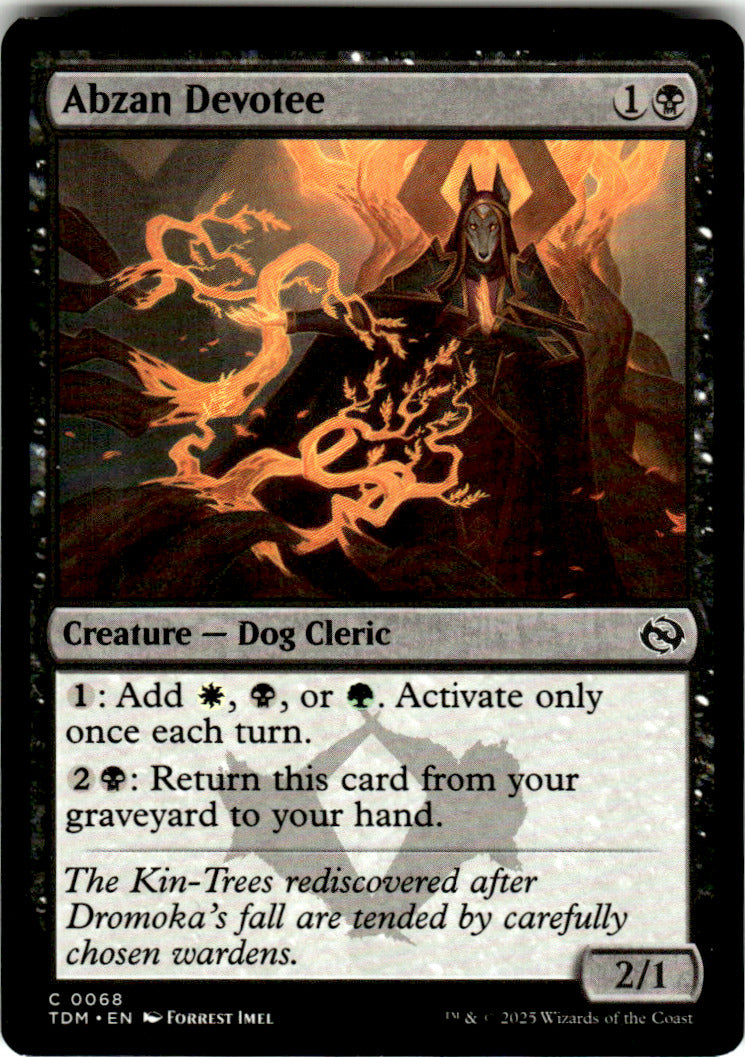 Abzan Devotee Tarkir: Dragonstorm 68 C Magic: The Gathering Near Mint