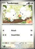 Tandemaus Paldea Evolved 167/193 Common Pokémon — English Near Mint