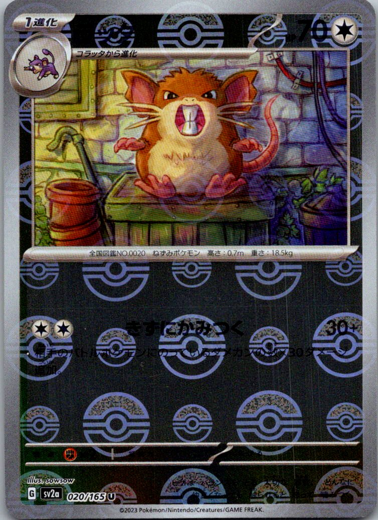 Raticate (Poke Ball Pattern) 020/165 SV2a: Pokemon Card 151 Pokemon Japanese NM