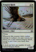 Tempest Hawk Tarkir: Dragonstorm 31 C Foil Magic: The Gathering Near Mint