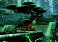 Forest (292) Art Card 44 Art Series: Kamigawa: Neon Dynasty MTG LP