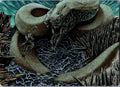 Koma, Cosmos Serpent Art Card (80/81) 80 Art Series: Kaldheim MTG NM