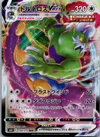 Tornadus VMAX 058/070 Triple Rare Silver Lance Pokemon Japanese Near Mint