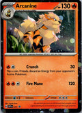 Arcanine 011 Holo Promo Scarlet & Violet Promo Pokemon Near Mint