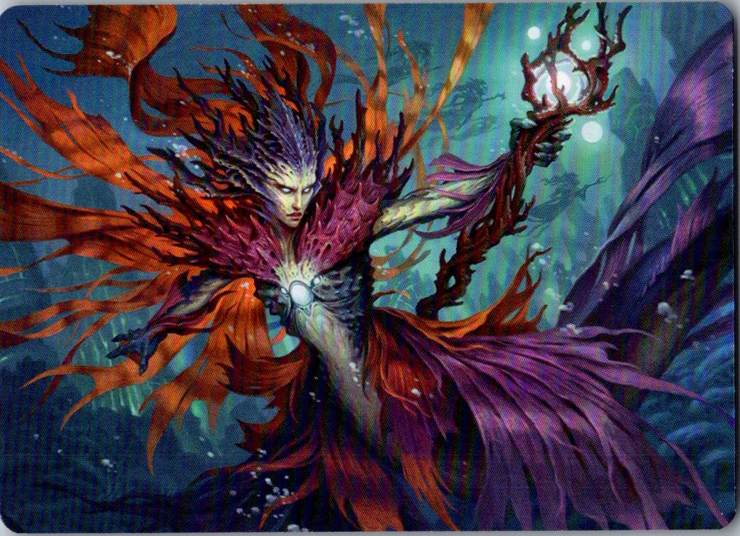 Vodalian Hexcatcher Art Card 20 Art Series: Dominaria United MTG NM