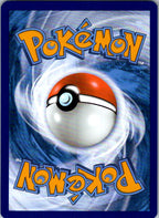 Eevee 043 Holo Promo Scarlet & Violet Promo Pokemon Near Mint