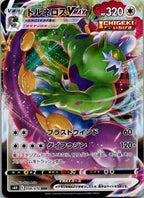 Tornadus VMAX 058/070 Triple Rare Silver Lance Pokemon Japanese Near Mint
