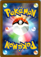 Numel 198/193 holo Art Rare MEGA Dream ex Pokemon Japanese Near Mint