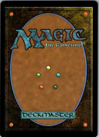 Plains (0253) 0253 Teenage Mutant Ninja Turtles Magic: The Gathering Foil NM