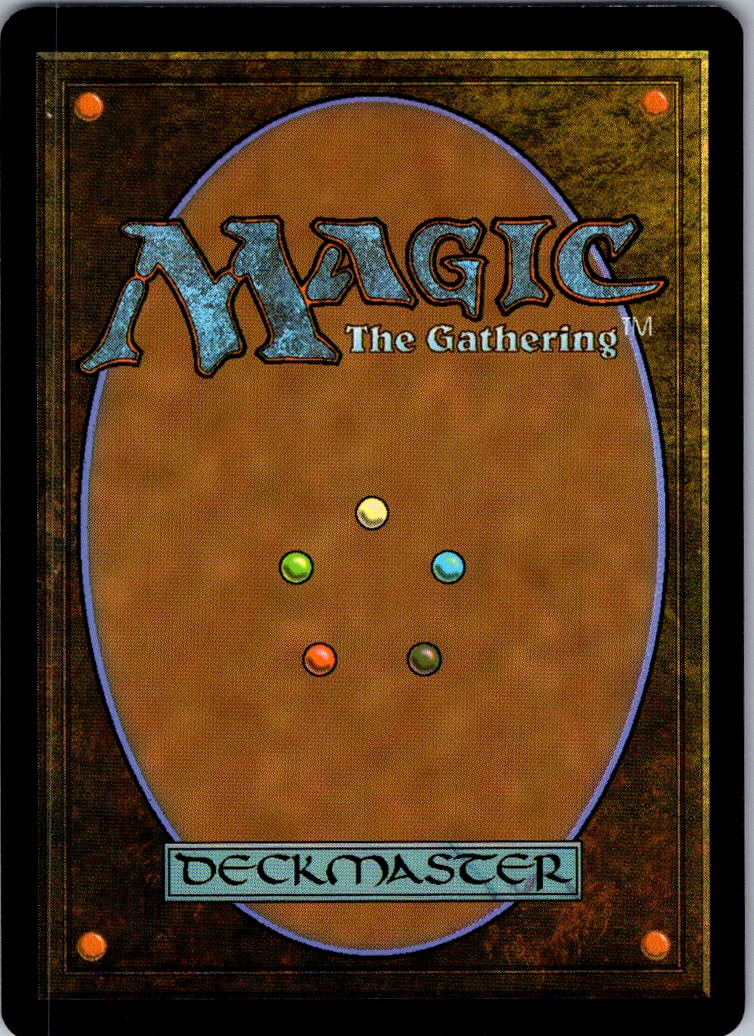 Lessons from Life 0155 Teenage Mutant Ninja Turtles Magic: The Gathering NM