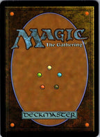 Bespoke Bo 0031 Uncommon Teenage Mutant Ninja Turtles Magic: The Gathering NM