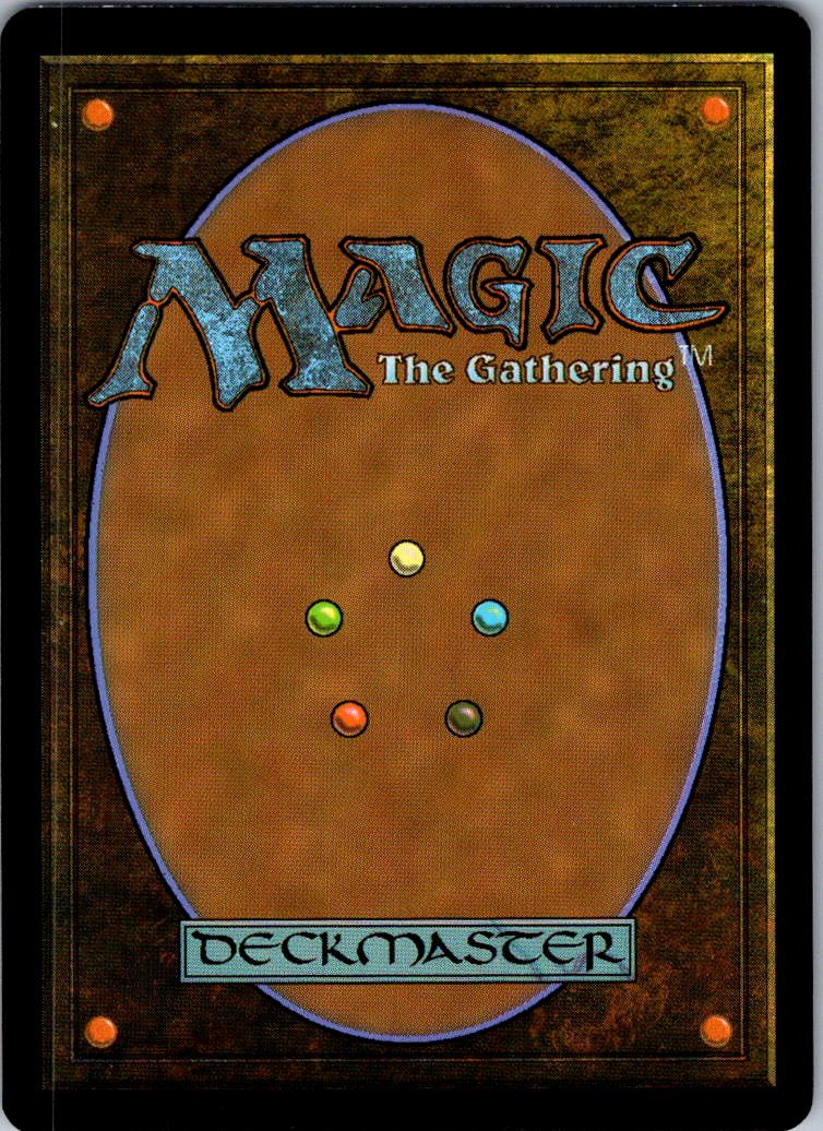 Bespoke Bo 0031 Uncommon Teenage Mutant Ninja Turtles Magic: The Gathering NM