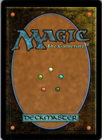 Forest (0257) 0257 Teenage Mutant Ninja Turtles Magic: The Gathering Foil NM