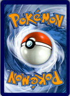 Sun Seed 027/034 Holo Classic Collection Trading Card Game Classic Pokemon NM