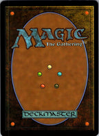 Lessons from Life 0155 Teenage Mutant Ninja Turtles Magic: The Gathering NM