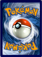 Boltund 076/202 Holo Rare Sword & Shield Pokemon Near Mint