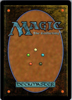 Plains (0253) 0253 Land Teenage Mutant Ninja Turtles Magic: The Gathering NM