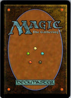 Leonardo, Big Brother 0014 Teenage Mutant Ninja Turtles Magic: The Gathering NM