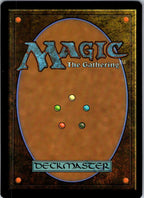 Wild-Magic Sorcerer 36 Commander: Adventures in the Forgotten Realms Magic NM