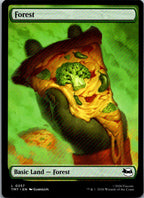 Forest (0257) 0257 Land Teenage Mutant Ninja Turtles Magic: The Gathering NM