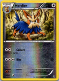 Herdier 82/114 Uncommon Black & White Pokemon Lightly Played