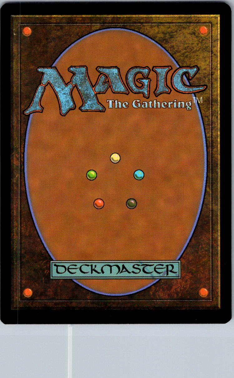 Forest (302) - JP Full Art 302 Kamigawa: Neon Dynasty Magic: The Gathering NM
