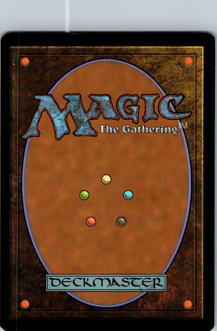 Forest (302) - JP Full Art 302 Kamigawa: Neon Dynasty Magic: The Gathering NM
