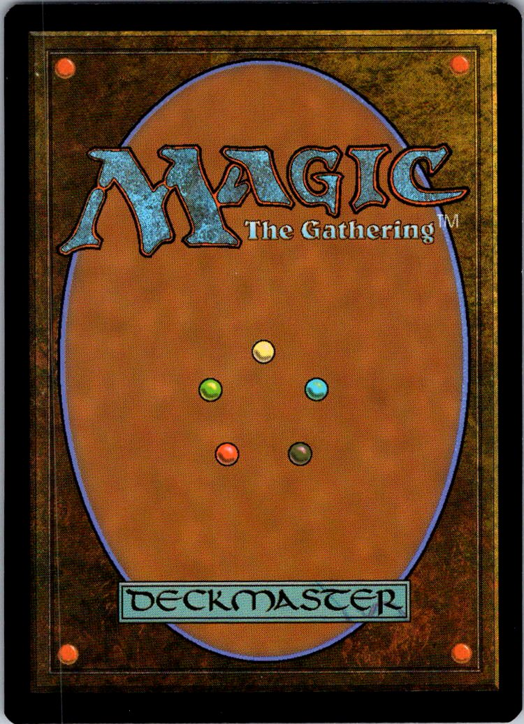 Forest (302) - JP Full Art 302 Kamigawa: Neon Dynasty Magic: The Gathering NM