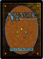 Lessons from Life 0155 Teenage Mutant Ninja Turtles Magic: The Gathering NM