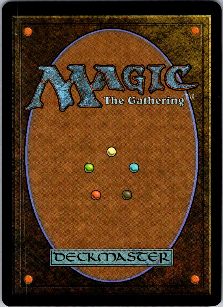 Lessons from Life 0155 Teenage Mutant Ninja Turtles Magic: The Gathering NM